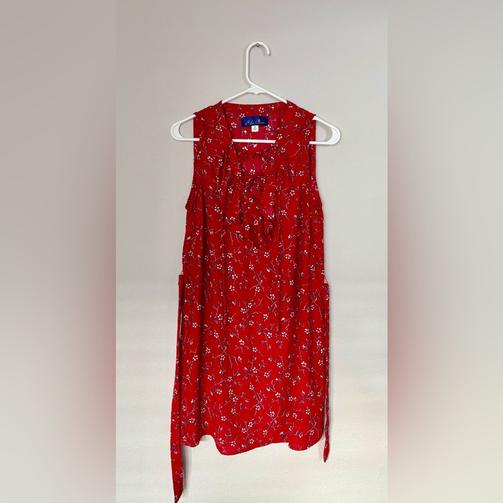 Francesca’s Blue Rain Red Floral Mini Dress size medium